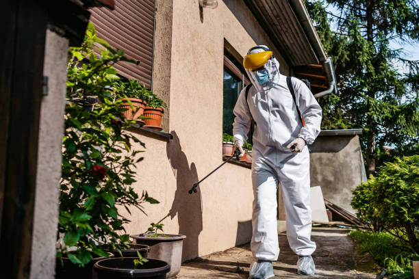 Best Exterminator Services  in Battle Mountain, NV