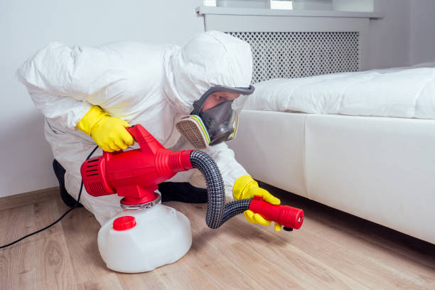Best Pest Control Treatment  in Battle Mountain, NV