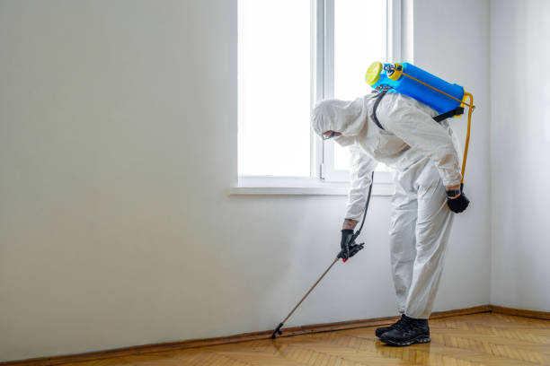 Best Flea Control Services  in Battle Mountain, NV