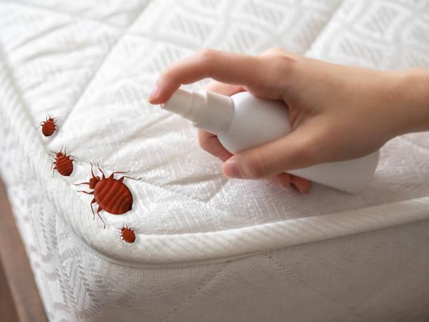 Pest Control Cost in Battle Mountain, NV